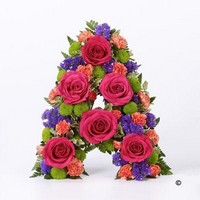 Tribute Letter Vibrant