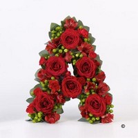 Tribute Letter Red