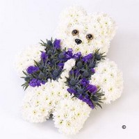 Teddy Bear Tribute Blue