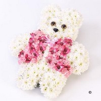 Teddy Bear Tribute Pink