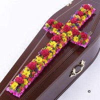 Classic Cross Vibrant