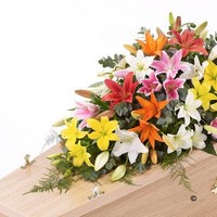 Lily Casket Spray Mixed Colours