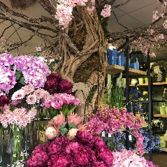 Feehily's Florist shop now OPEN!
