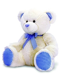 Small Baby Boy Gingham Bear
