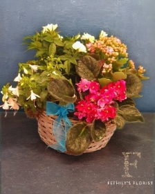Mixed Planter Florist Choice