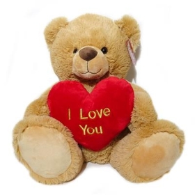 I Love You Teddy Bear
