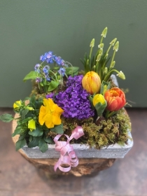 Spring Planter Florist Choice